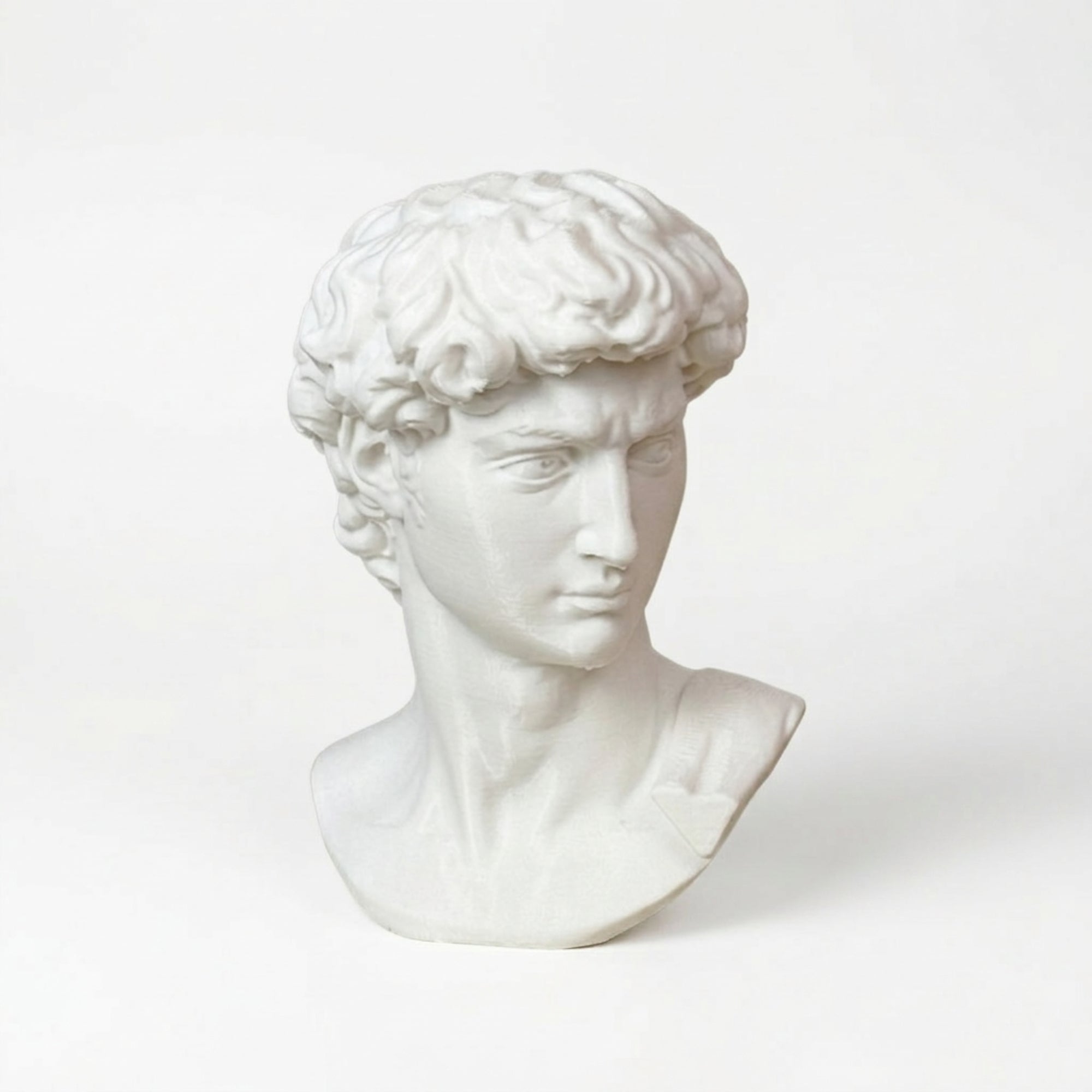 Testa di Davide - Riproduzione 3D