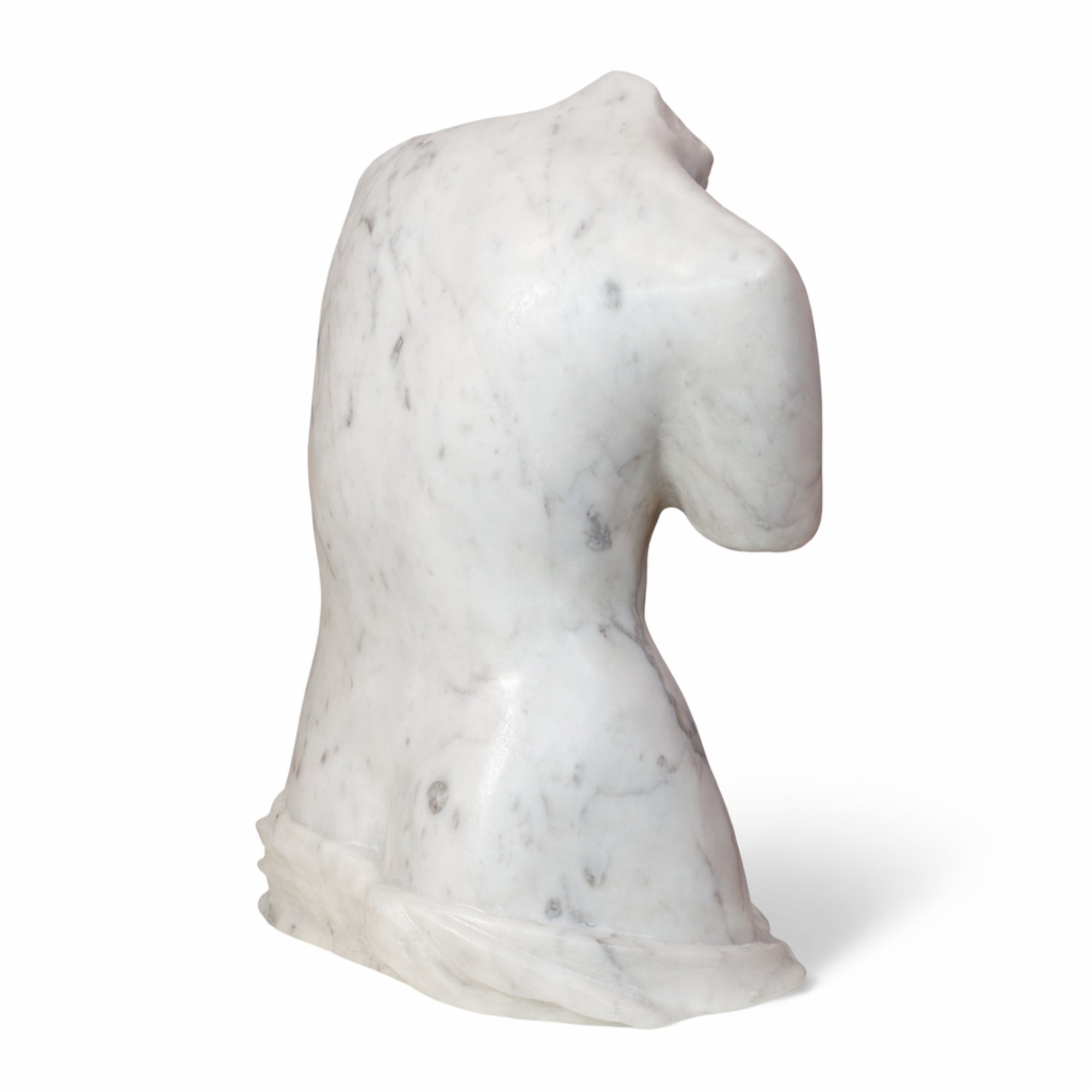 Vista posteriore del torso di Venere lucido.