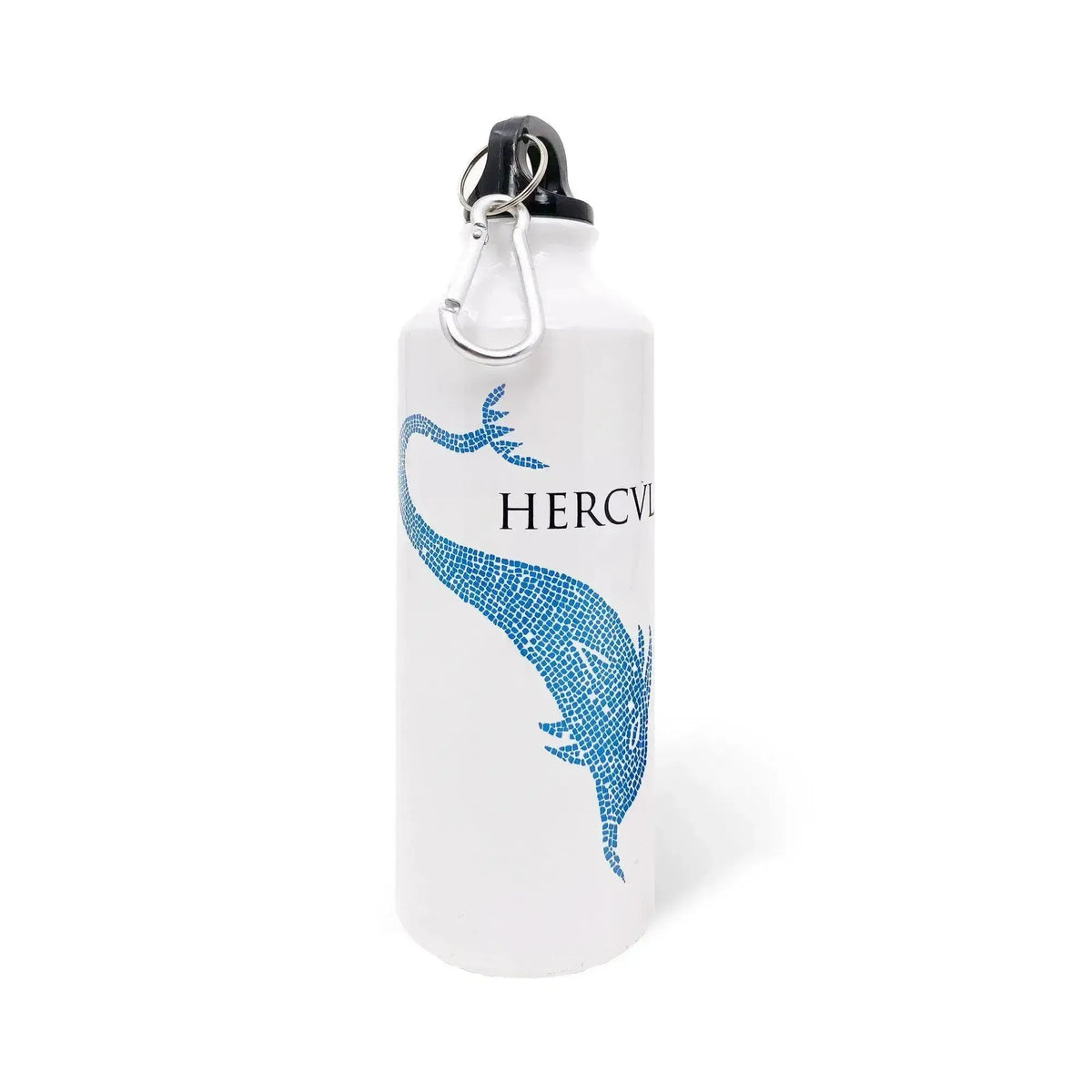 Bouteille d'eau thermale avec imprimé dauphin d'Herculanum