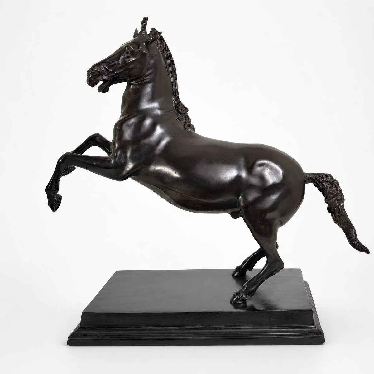 Bucefalo, cavallo di Alessandro Magno in bronzo scuro, in posa rampante su base rettangolare e fondo bianco.
