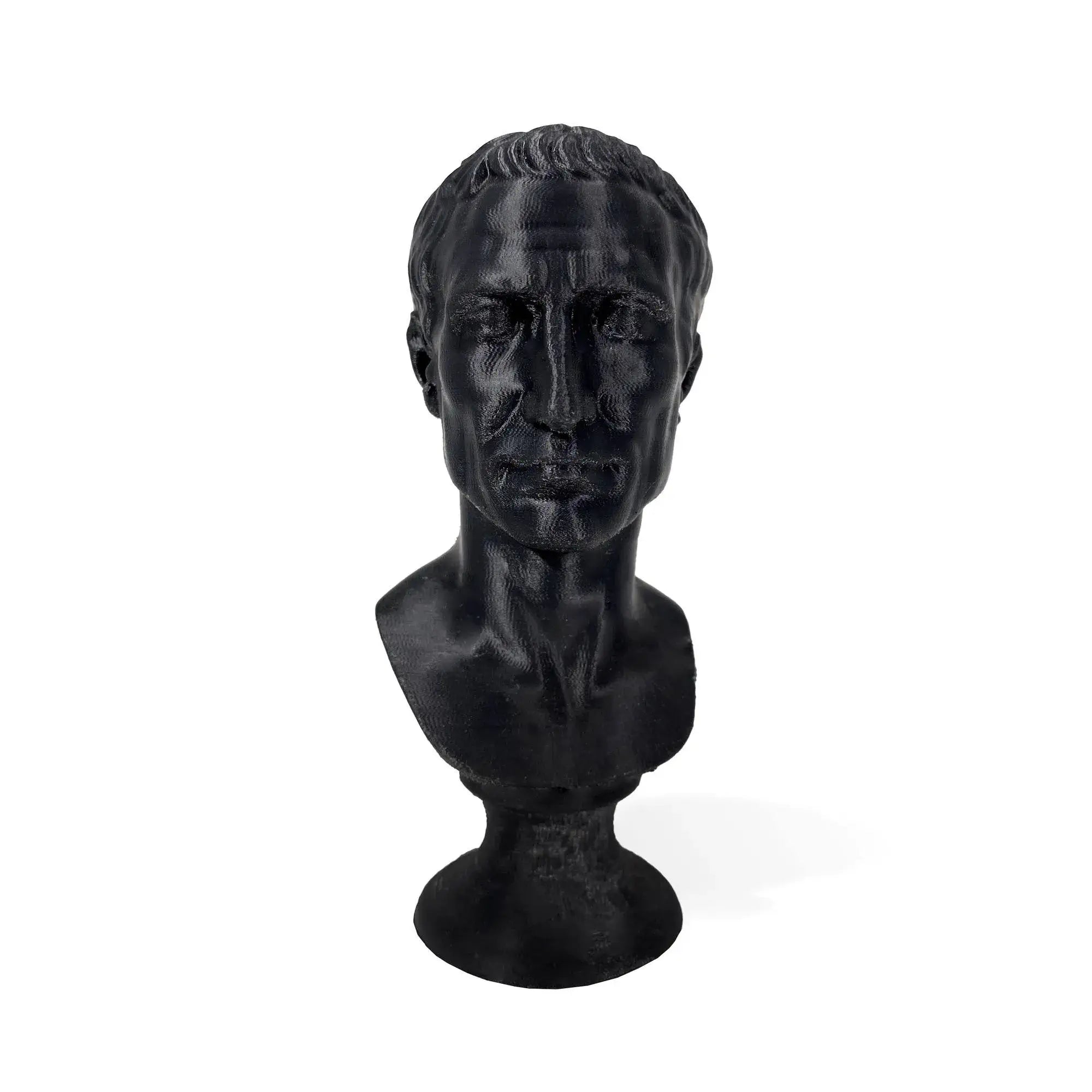 Busto Giulio Cesare - Stampa 3D