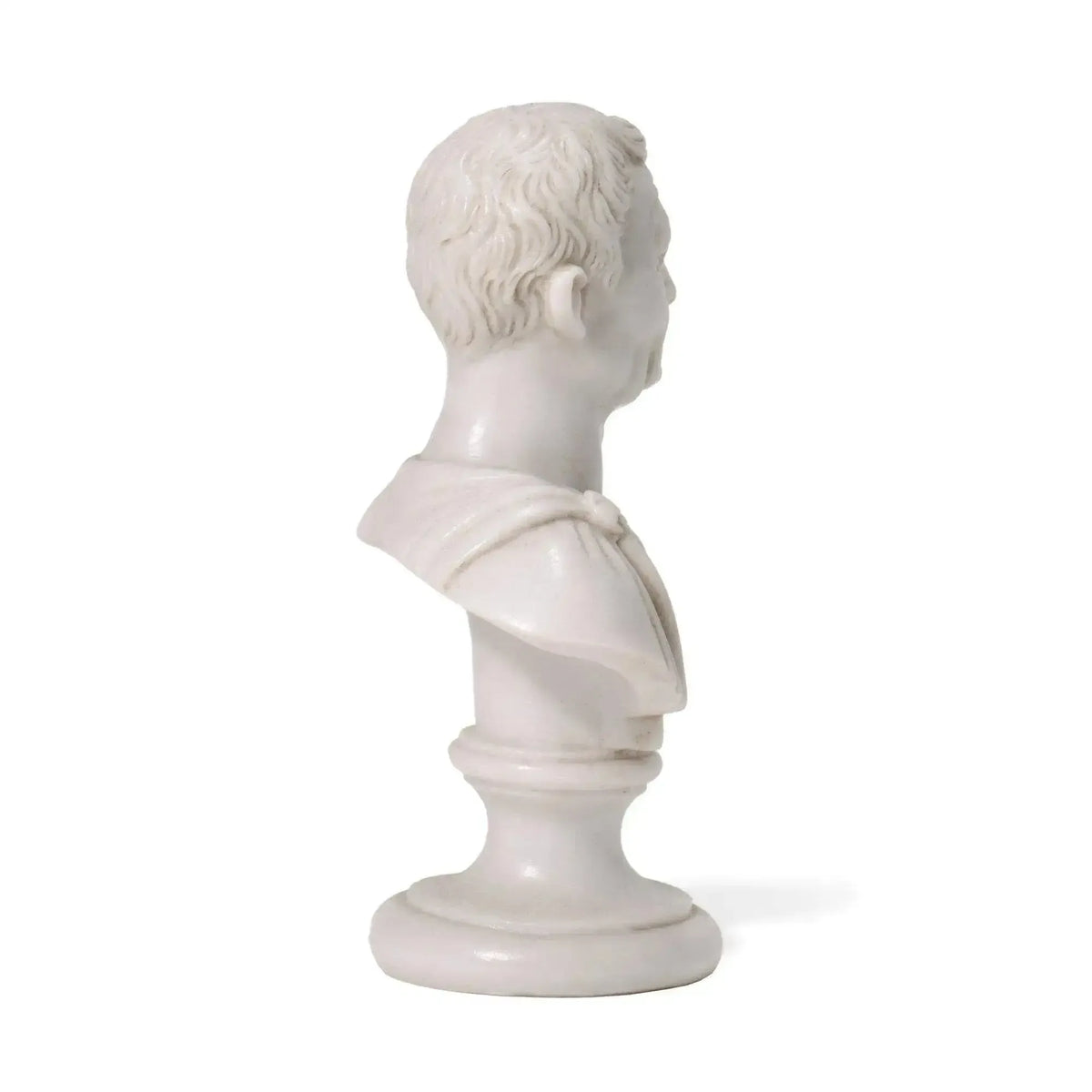 Julius Caesar: Recomposed Carrara marble bust