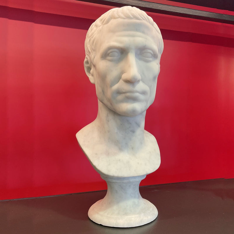 Busto di Giulio Cesare in marmo bianco di Carrara,  vista frontale su fondo rosso.