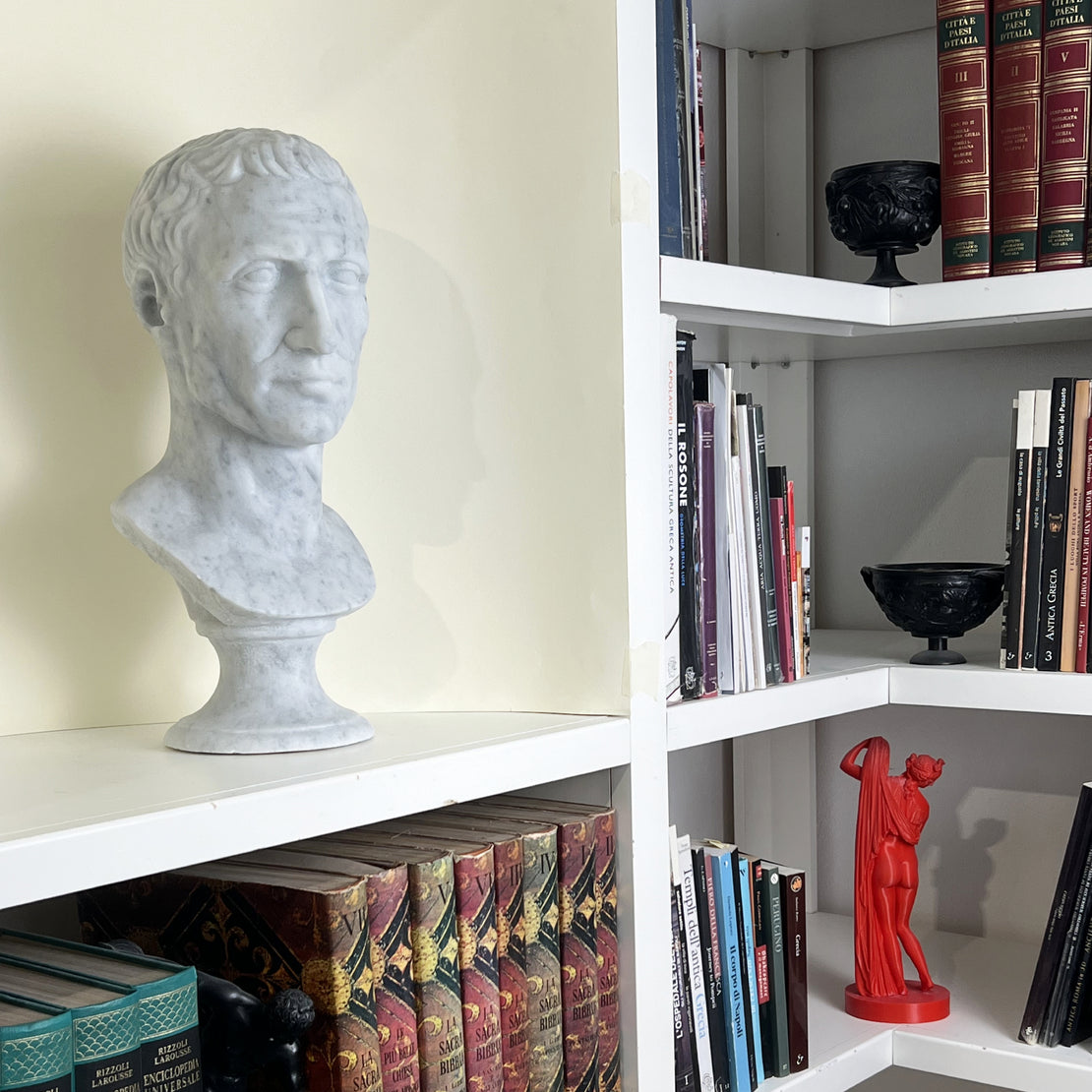 Busto di Giulio Cesare in marmo bianco di Carrara,  vista a tre quarti in una libreria.
