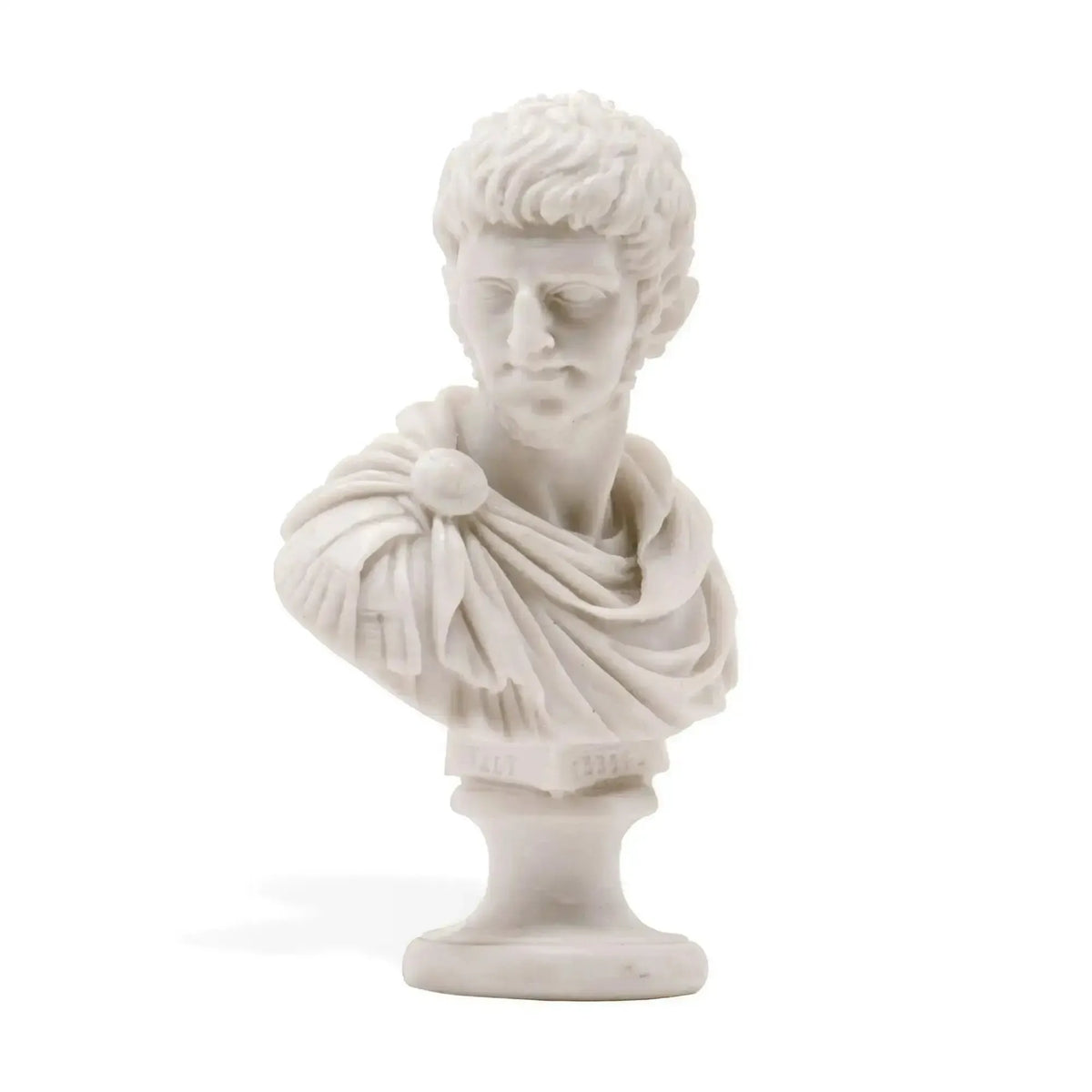 ¡Nerone, el Emperador Loco! Busto de mármol.