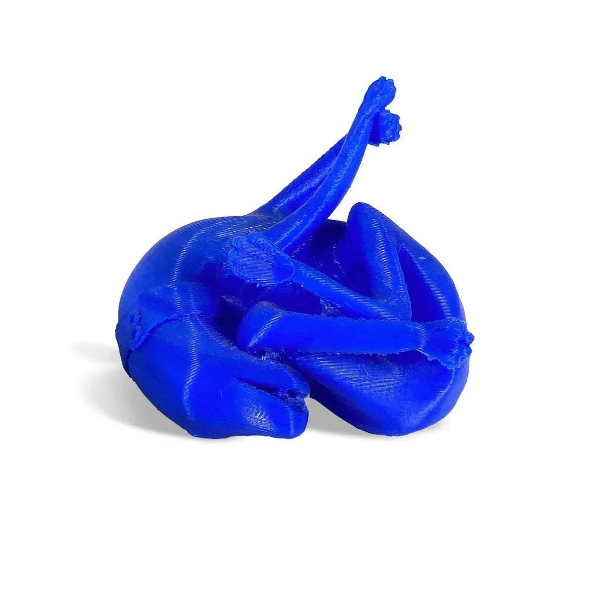 Replica del calco del cane di Pompei in PLA blu, con corpo ripiegato e zampe sollevate, su fondo bianco.