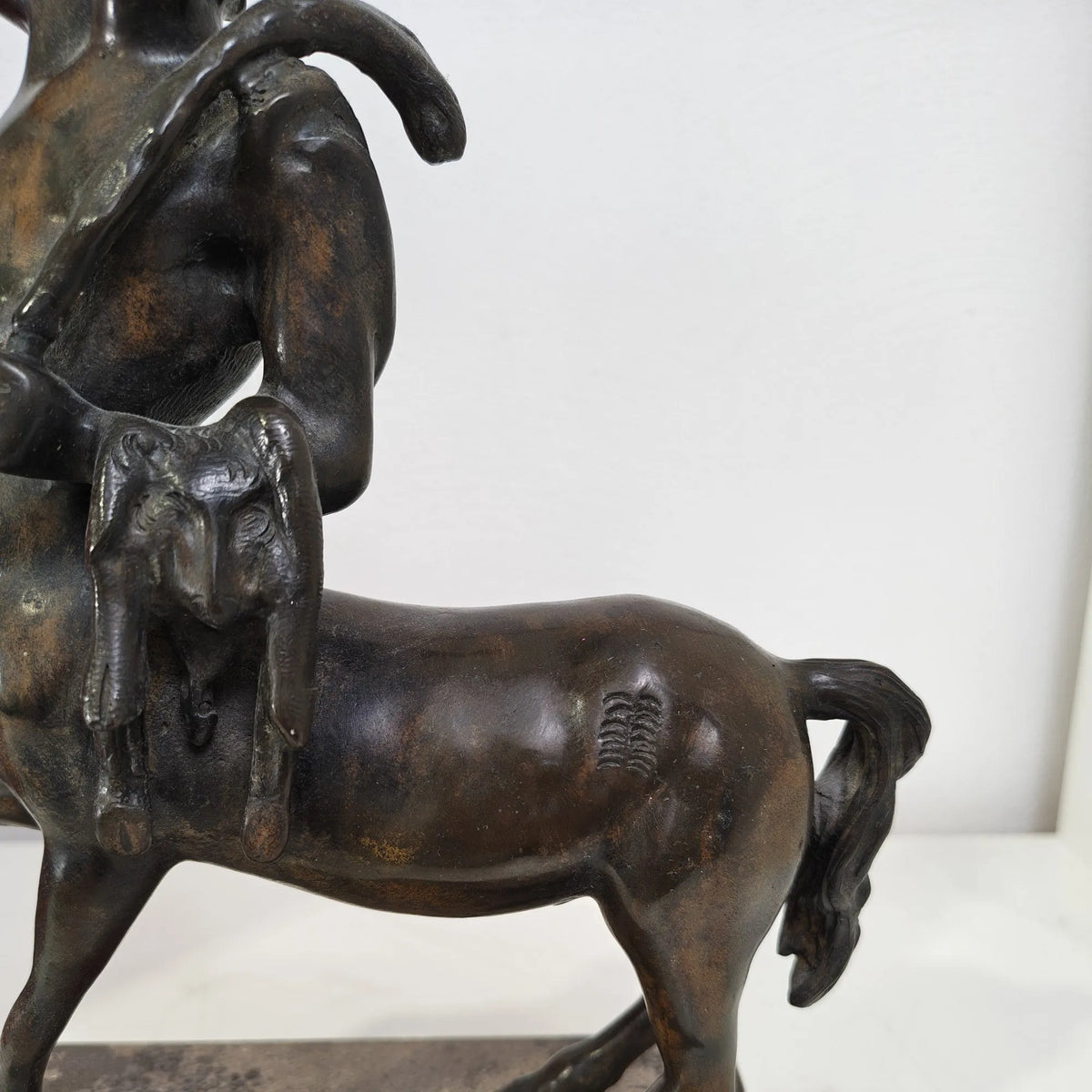 Dettaglio della patina scura del bronzo del Centauro