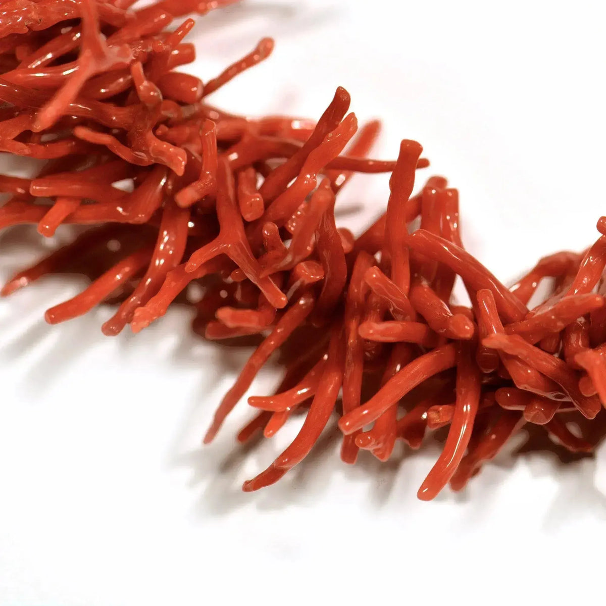 Coral branch necklace and 925 silver