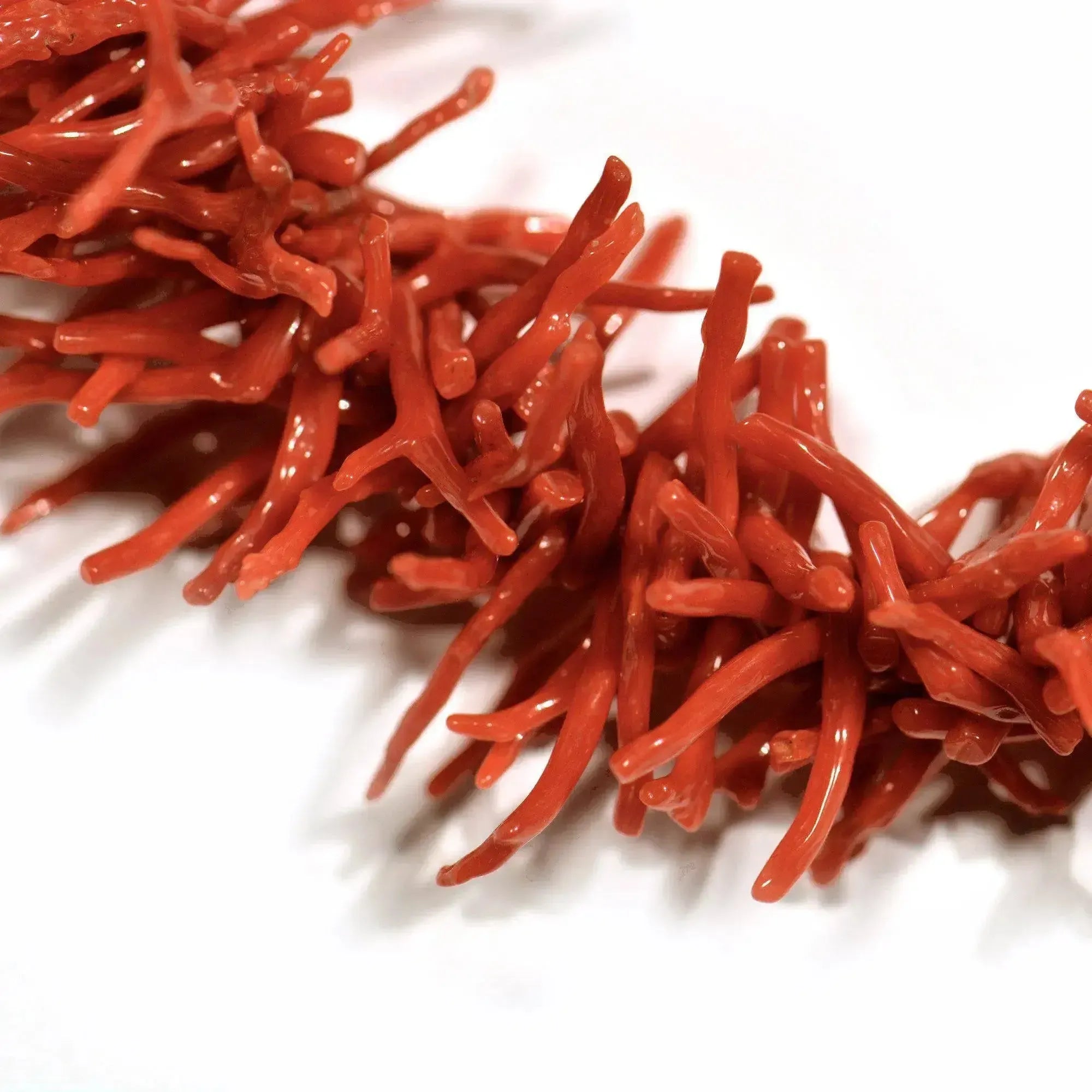 Coral branch necklace and 925 silver