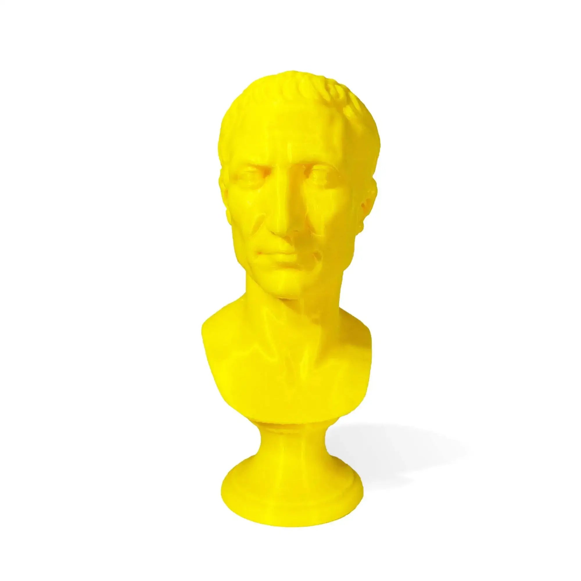 Busto Giulio Cesare - Stampa 3D