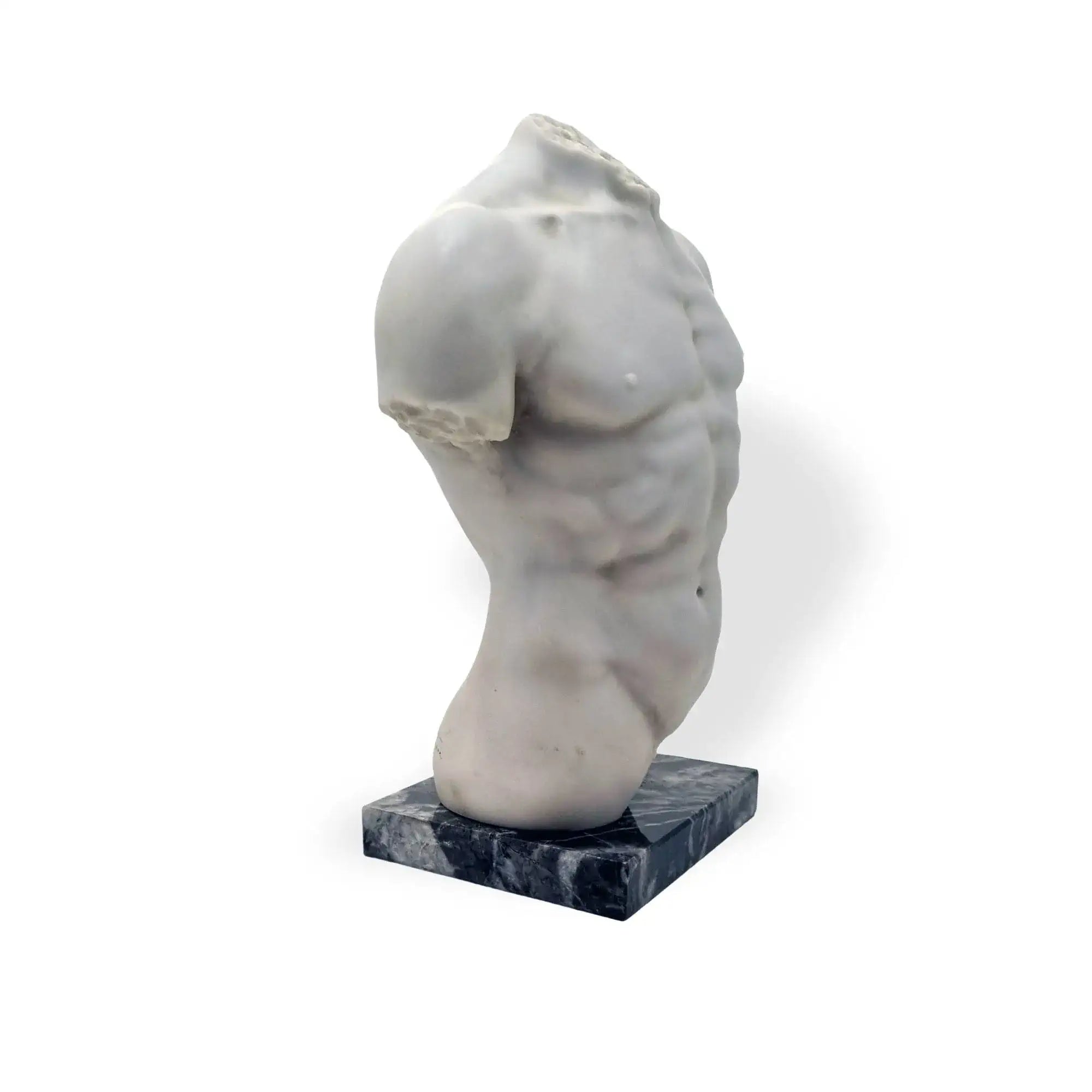Male torso in marble sculpture