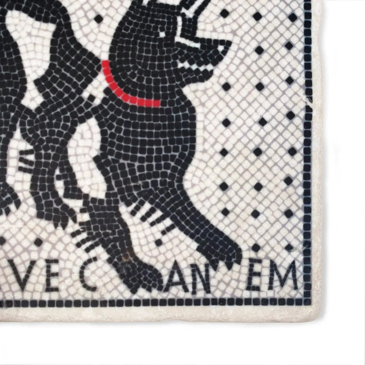 Pompeii tile depicting the famous "Cave Canem" motif.