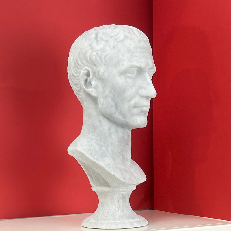 Video panoramico di un busto in marmo bianco raffigurante Giulio Cesare, mostrato da diverse angolazioni – profilo destro, sinistro, frontale – e ambientato in interni eleganti tra librerie con volumi antichi e oggetti d’arte classica. La scultura, realistica e in stile romano, è esposta sia su sfondi neutri che in contesti domestici e museali.