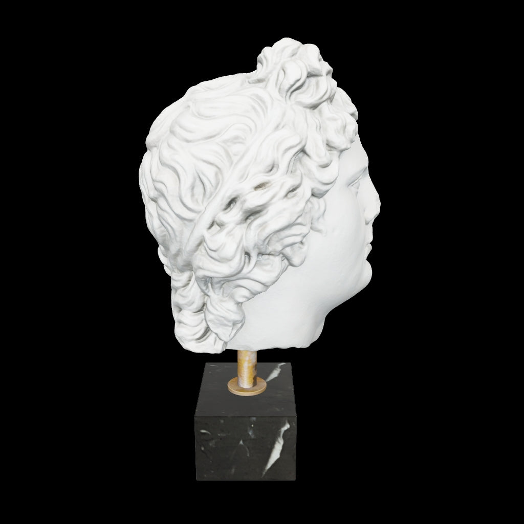 Modello 3D della testa di Artemide in Marmo dei Musei Vaticani.