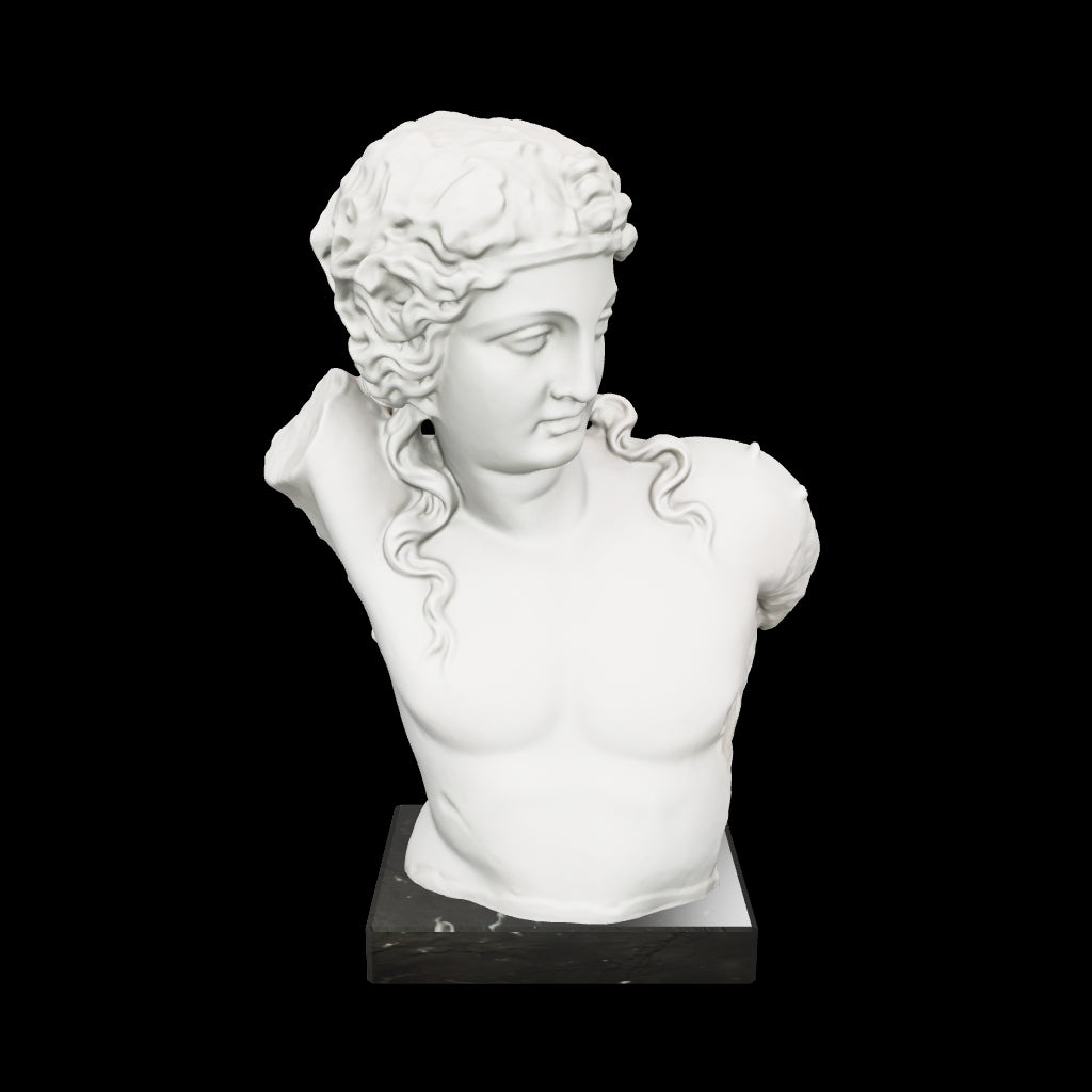 Statua in marmo del Torso di Dionisio