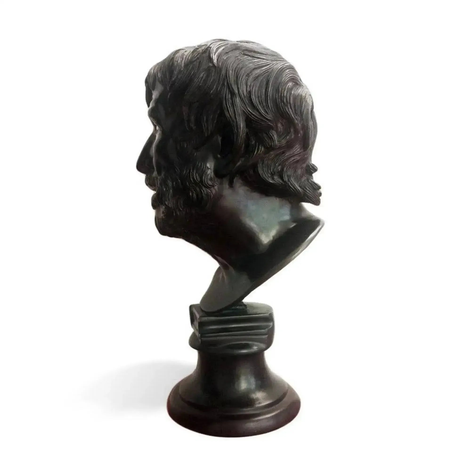 Pseudo-Seneca head, bronze statue. Profile