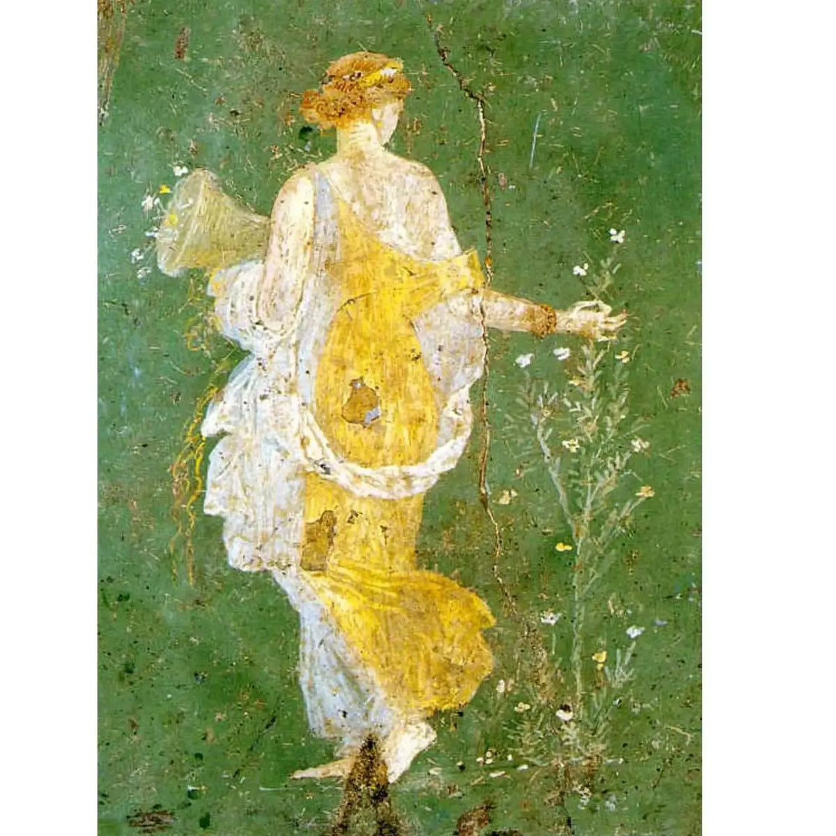 Tela Flora de Stabiae