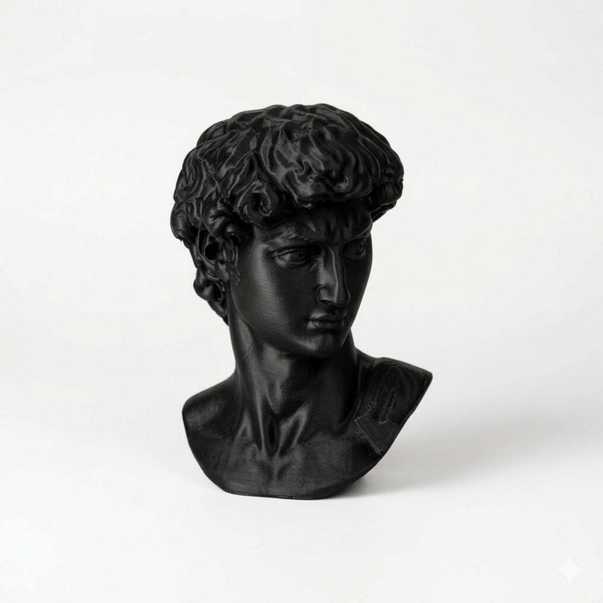 David - 3D Head Reproduction