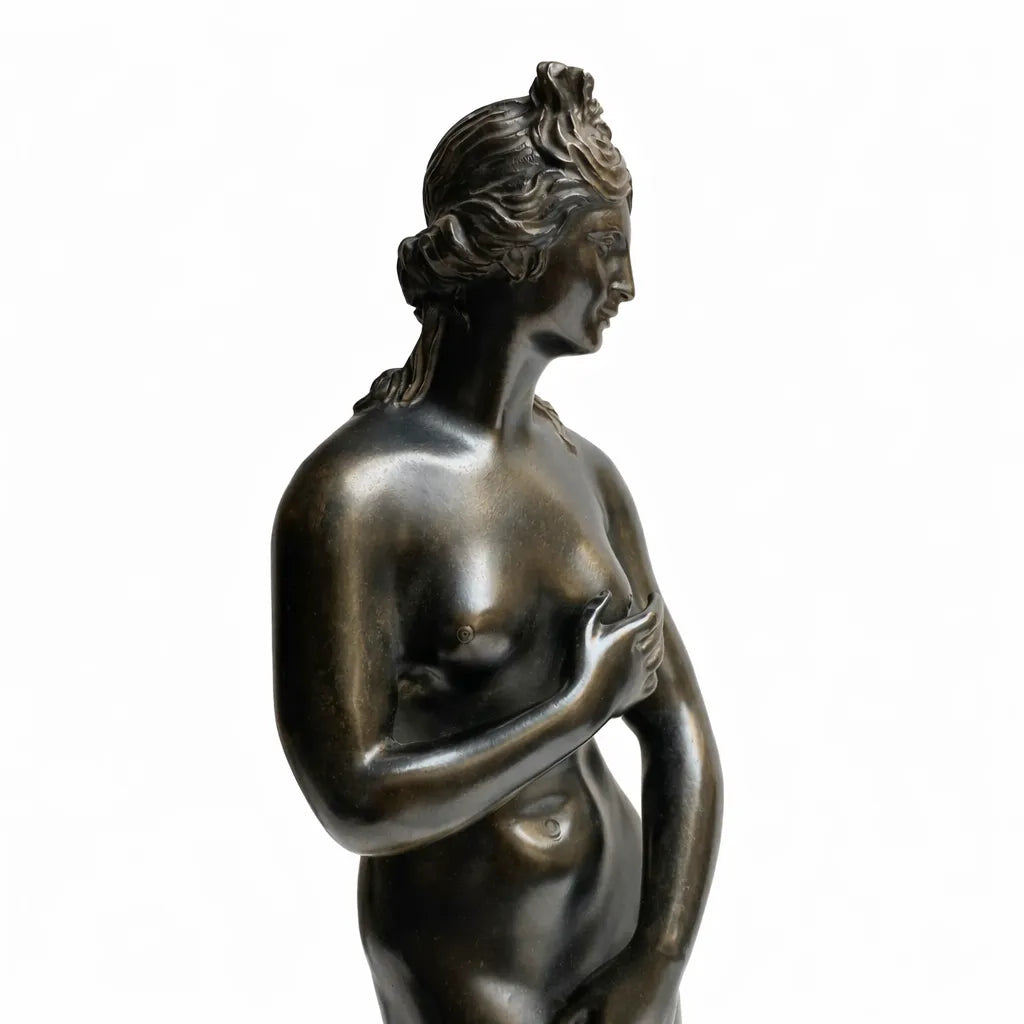 Dettaglio del volto di profilo e del busto della Venere dei Medici in bronzo scuro, su fondo bianco.