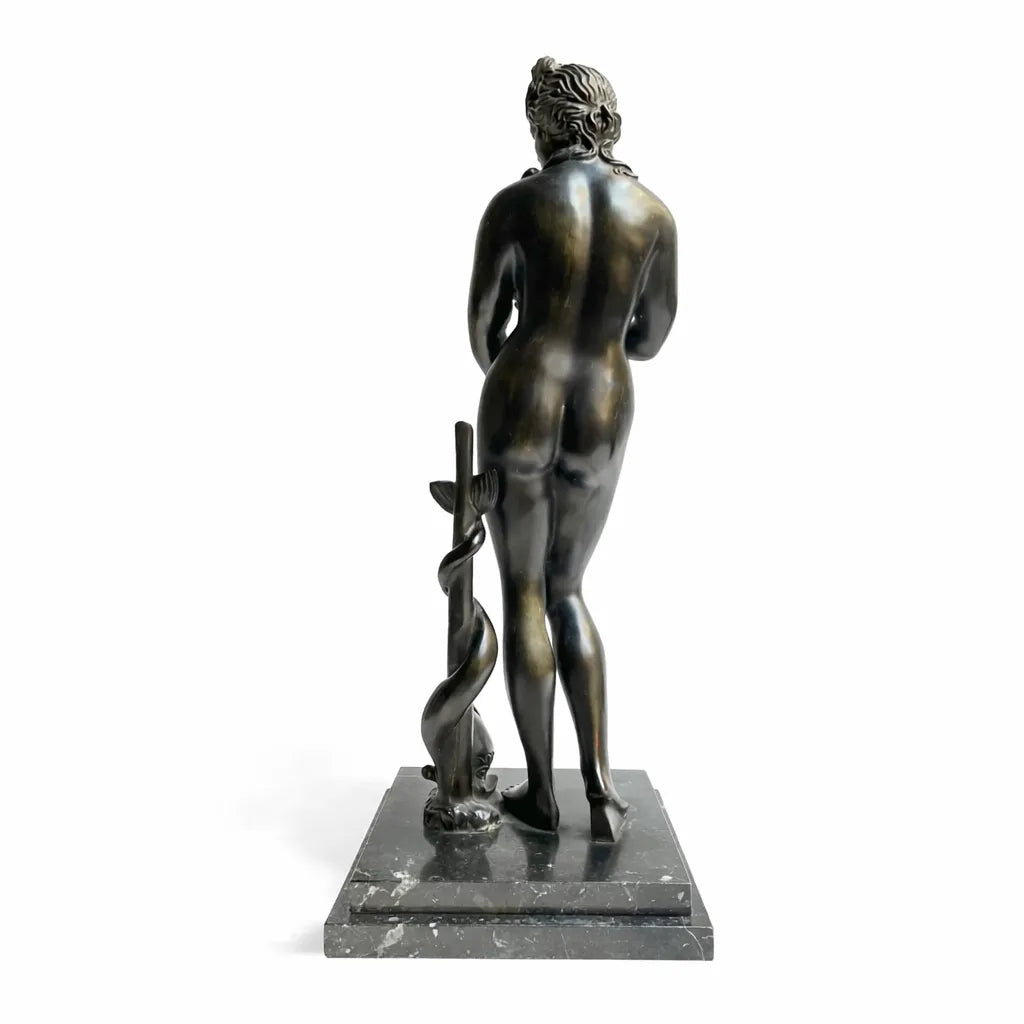 Venere dei Medici in bronzo scuro, vista posteriore con delfino accanto alla gamba, su fondo bianco.