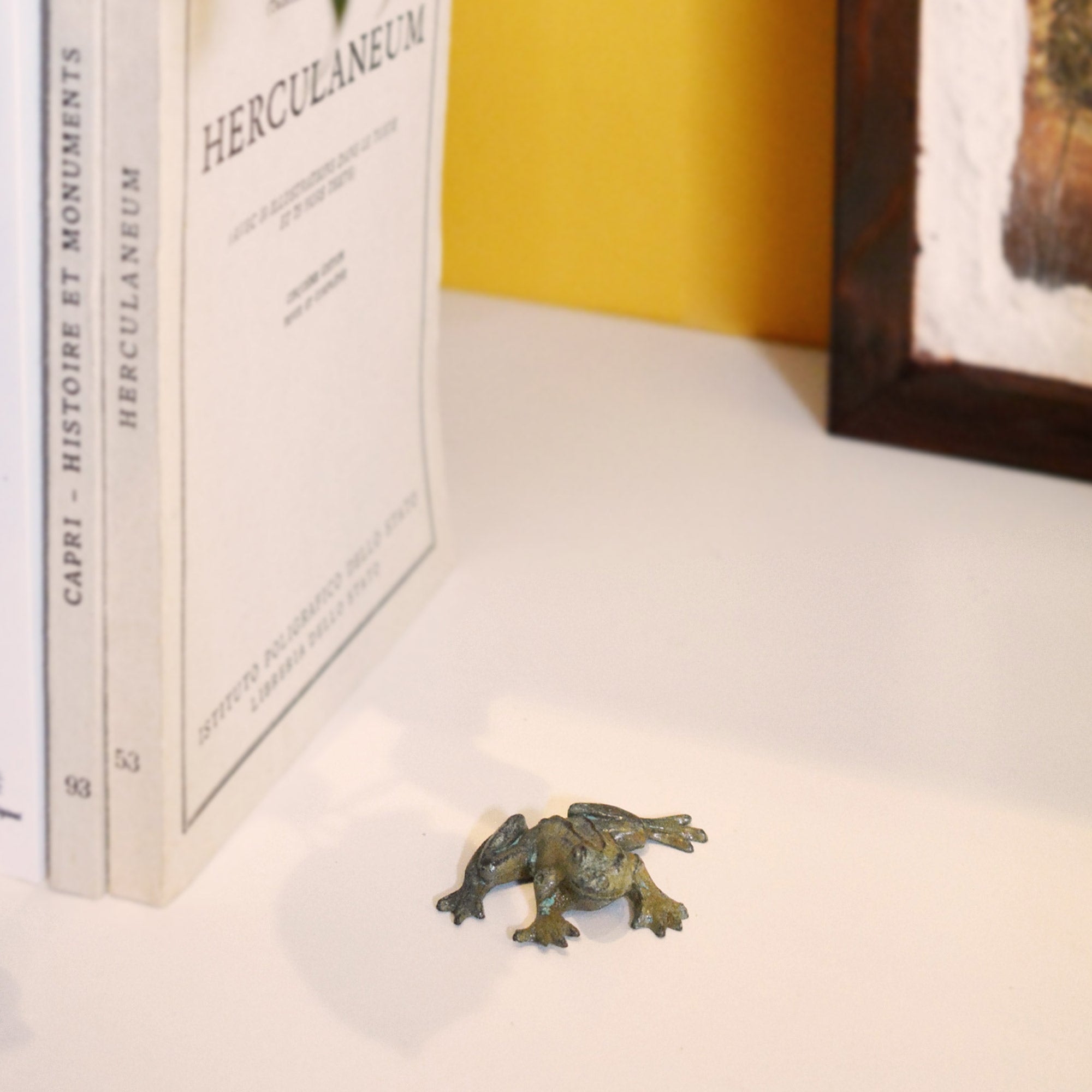 Dekorative Froschskulptur aus Bronze mit grün-bläulicher Patina, auf weißer Fläche fotografiert in einem Raum mit Büchern im Hintergrund.