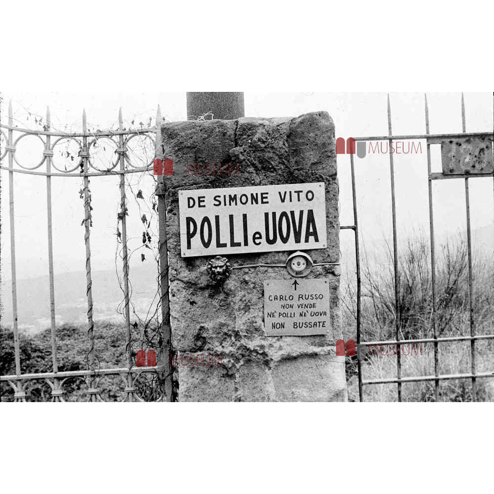 Fotografía 25 - La Nápoles de Bellavista - Luciano De Crescenzo - Museum-Shop.it