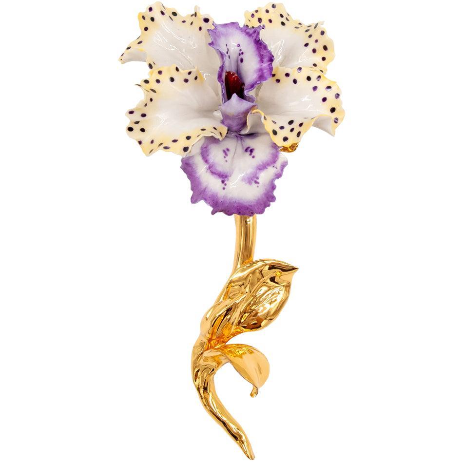 Стебель орхидеи oro-Museum Shop Italy