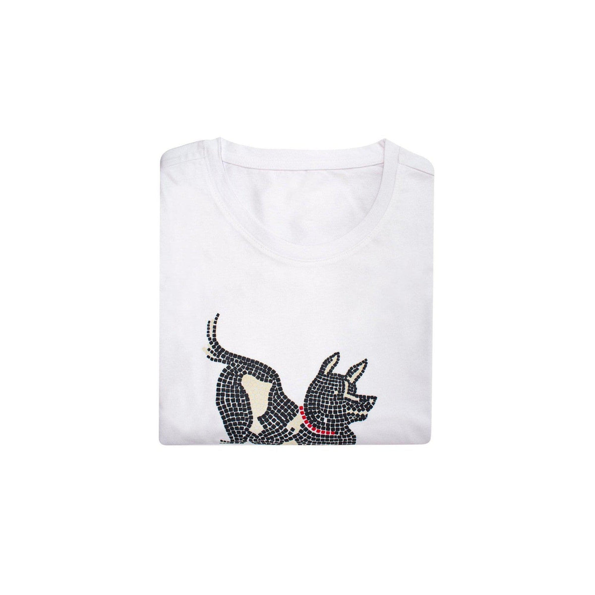 Cave Canem Women's T-Shirt
