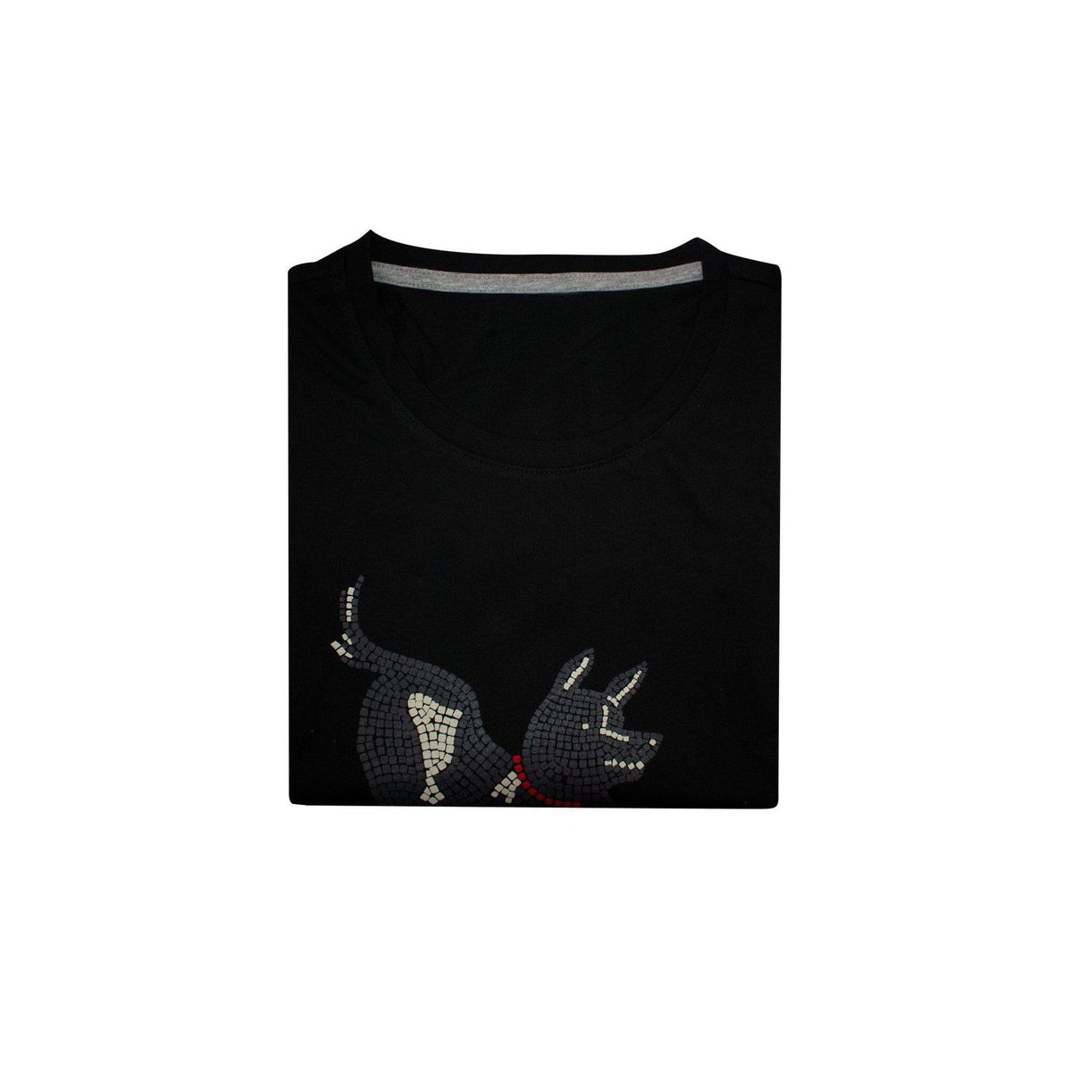 Cave Canem Women's T-Shirt